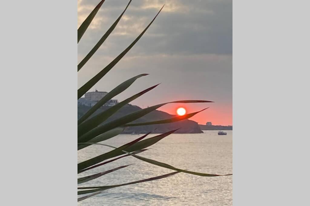 Beautiful 3 Bedroom Apartment By The Sea Newquay  Bagian luar foto